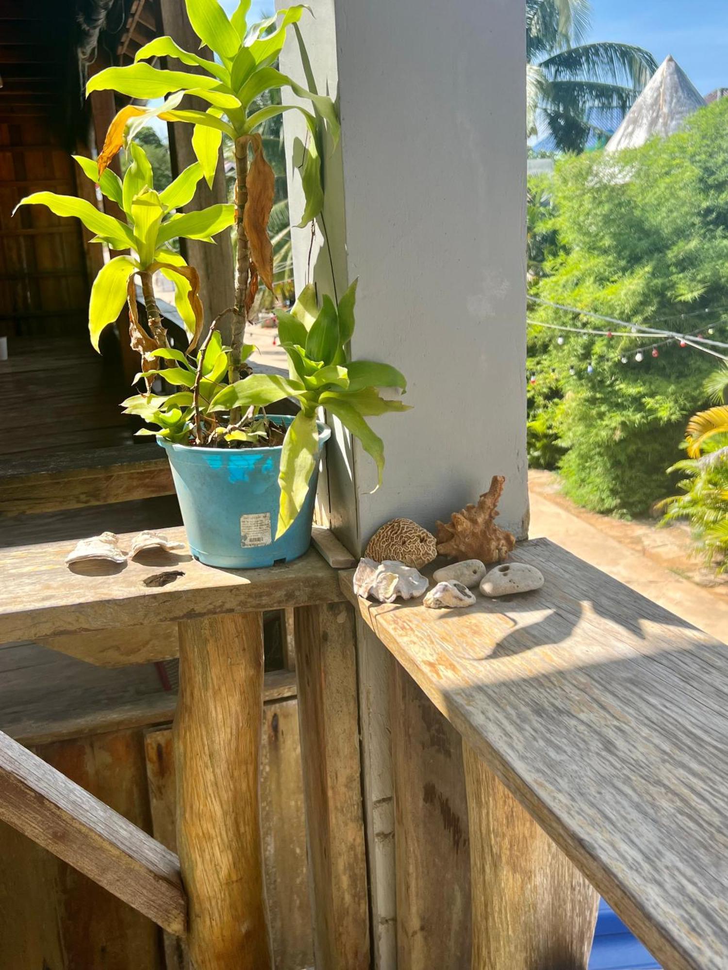 Ing Ing Guesthouse Koh Rong Samlon Eksteriør billede